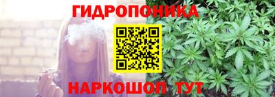 гидра Моздок