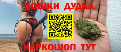 гидра Моздок
