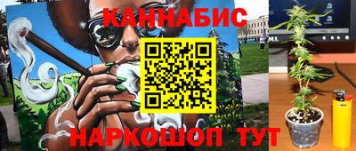 гидра Моздок