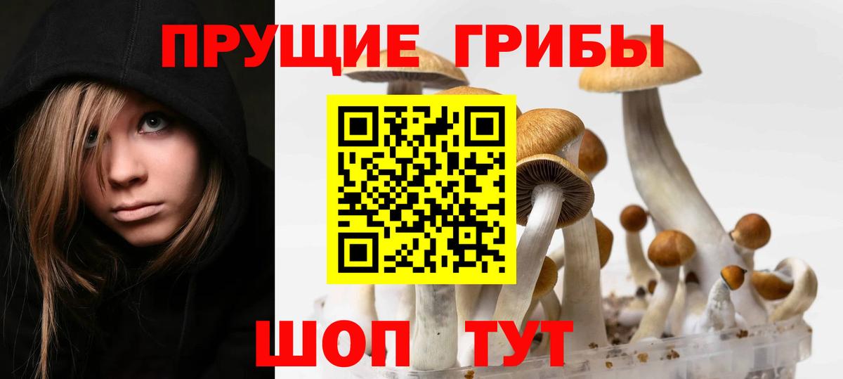 Псилоцибиновые грибы прущие грибы Сокол